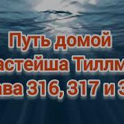Путь Домой Анастейша Тиллман Глава 316