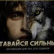Одинокий Волк Мотивация Быть Сильным