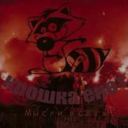 Крошка Енот W C D