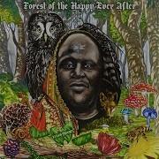 Forest Happy Ever After