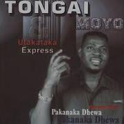 Tongai Moyo Munyaradzi Wangu Pakanaka Dhewa Album 2004 Official Audio Tm Family