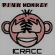 Pink Monkey Icracc