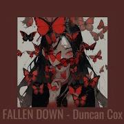 Fallen Down Duncan Cox