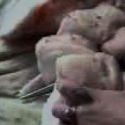 Духтари Кашанг