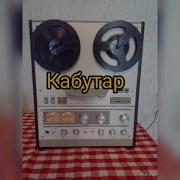 Шерали Жураев Кабутар