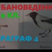 Кубановедение 6 Класс 10 Параграф