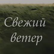 Свежий Ветер Караоке