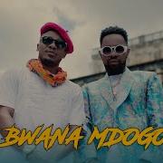 Alikiba Ft Patoranking Bwana Mdogo Official Music Video Alikiba