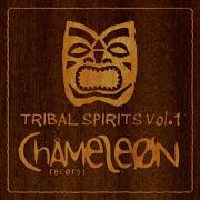 Dj Tomer Deep Inside Tribal Mix