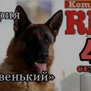 Комиссар Рекс Kommissar Rex