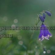 Крест Мюзик Милость Минус