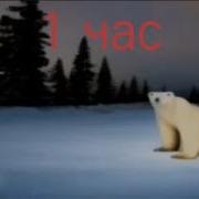 Медведь 2026 1 Час