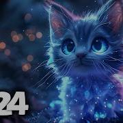 Music Mix 2024 Edm Remixes Of Popular Songs Edm Car Songs Mix