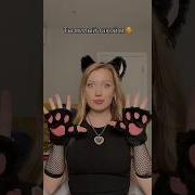 Скачать Песню Мяу Из Лайка
