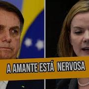 Gleisi Zoada Por Esquerdistas Novogoverno Bolsonaro Brasil Politica