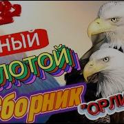Мирный Золотой Сборник Песен Орлица