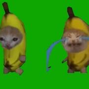 Banana Cat Meme