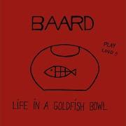 Baard Life In A Goldfish Bowl