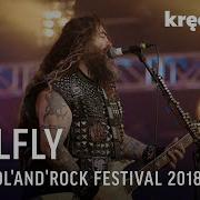 Seek 039 N 039 Strike Live In Poland Soulfly