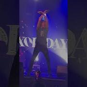 Мотыльки Xolidayboy