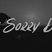 I M Sorry Dad