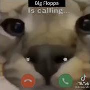 Pov Big Floppa Is Calling