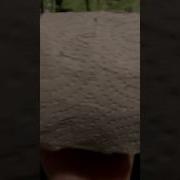 Базар В Тюрьме Зона