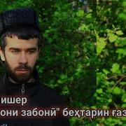 Кори Алишер Мавлуд