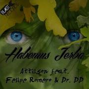 Habemus Jerba Dj Jad Remix Feat Felipe Romero Dr Dd Attilson