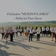 Orchestra Moldovlaska Sîrba Lui Dani Sava