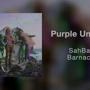 Purple Umbrella Sahbabii