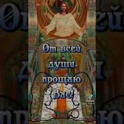 Прости Меня И Я Простила