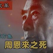 回首文革17