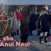 Haitura De Anul Nou