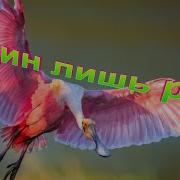 Христианские Песни Один Лишь Раз Утренняя Звезда С Восходом Солнца Новый День Пришел