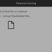 Digital Forensics Using Kali Linux Forensics Carving Overview Packtpub Com Packt