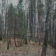 Осень Прошла А За Нею Зима