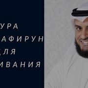 Мишари Рашид Сура Кафирун