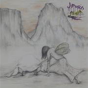 Picking Out The Seeds J Mascis