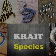 Kraits