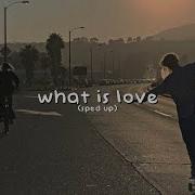 What Is Love Speed