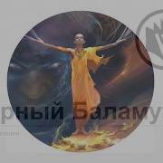 Черный Баламут