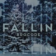 Fallin Brocode