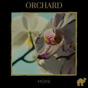 Moini Orchard