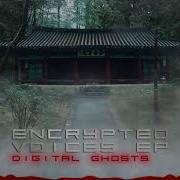 Digital Ghosts Qillix