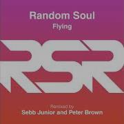 Flying Peter Brown Remix Edit