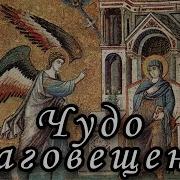 Священное Семя Берджесс