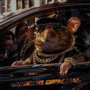 Hamster Criminal Песня