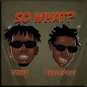 Tekno Ft Shallipopi So What Radio Edit Clean Version