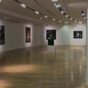 Yang Gallery Memory 记忆 Chinese Contemporary Art Exhibition At Ion Art Space